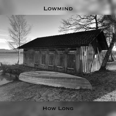 Lowmind Cover How Long